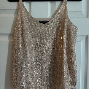 Banana Republic Shimmering Silver Camisole